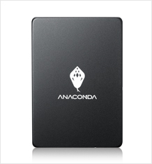 巨蟒A1超高效能SSD固態硬碟