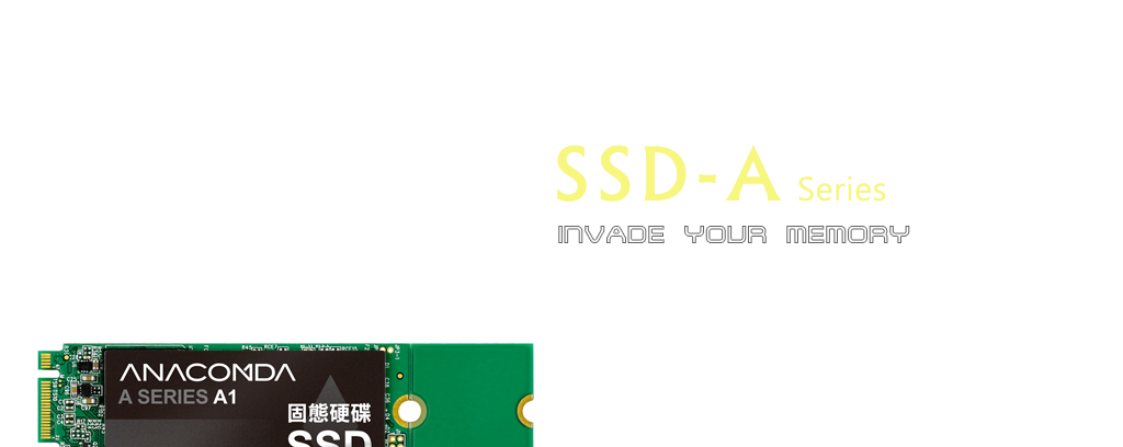 SSD-N Series Invade your memory