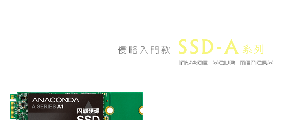 SSD-A1-m.2固態硬碟