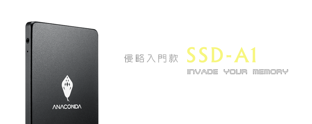 SSD-A侵略入門款Invade your memory