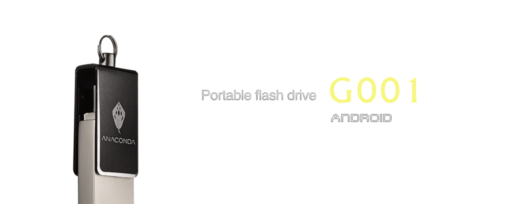 Portable flash drive