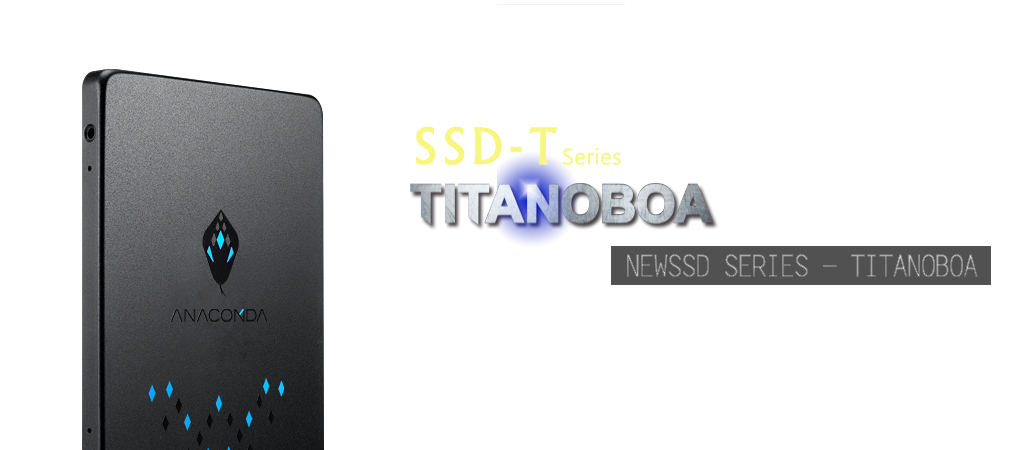 T1-SSD