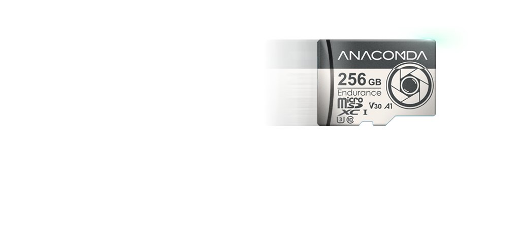 Micro SD高效能監控專用記憶卡