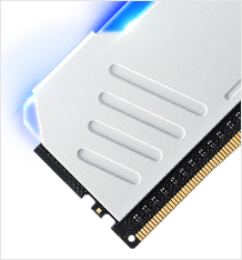Anacomda RGB DDR5 Memory