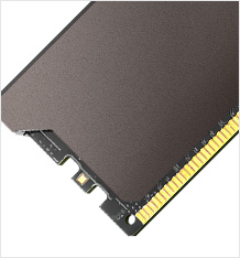 BLACK KINGSNAKE DDR5