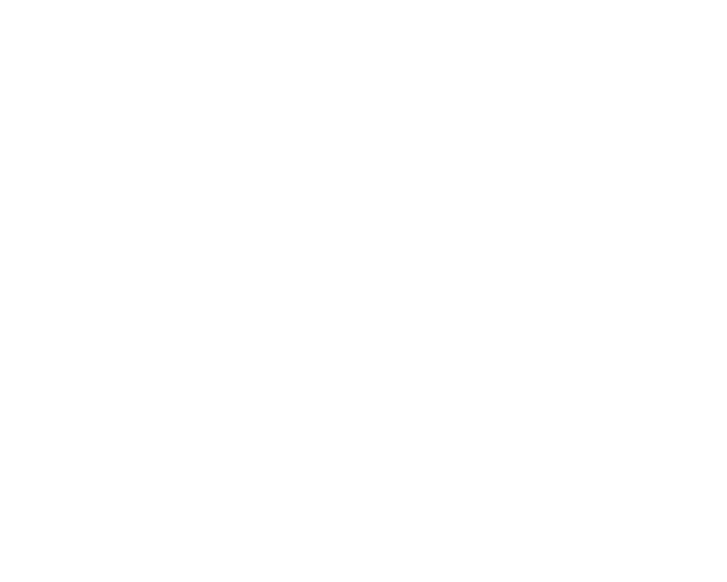 巨蟒SSD硬碟i4fs火蛇系列Pcie M.2 2280