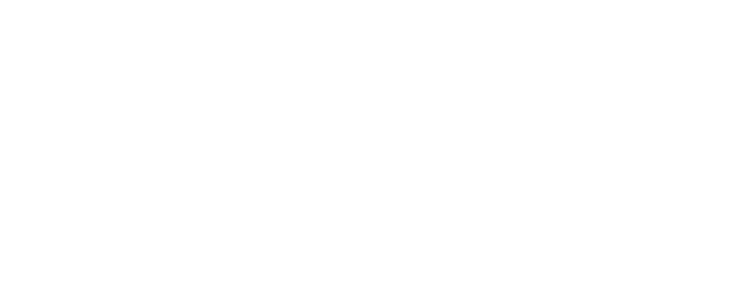 巨蟒i5 PCie M.2 高效能SSD  